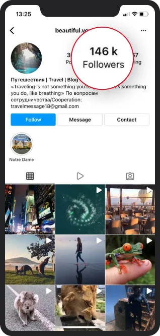 crescimento do instagram